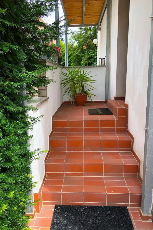 Ferienwohnung Alte Gaertnerei Thale Bagian luar foto